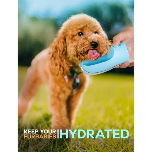 Pet Water Bottle