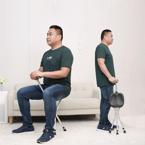 Foldable Chair Cane,