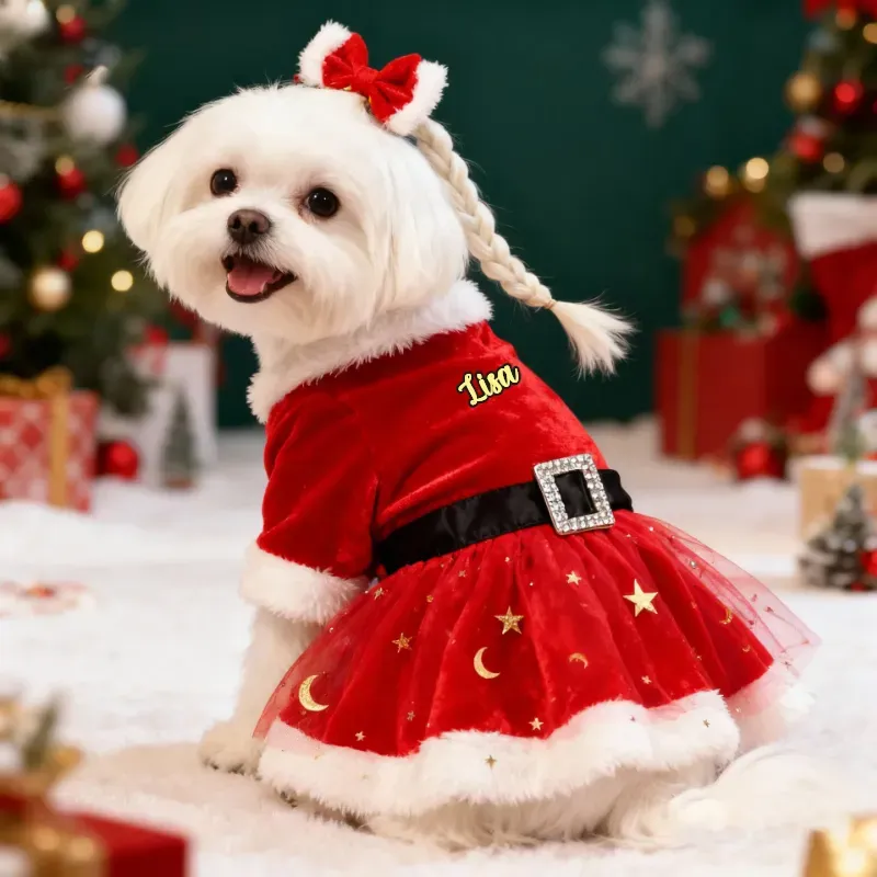 This Christmas, let your pet sparkle with festive magic!