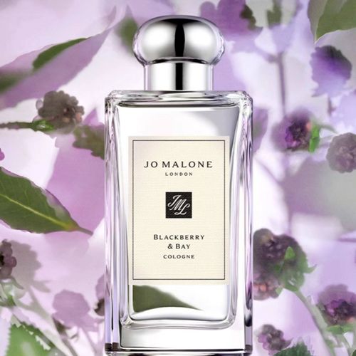 祖瑪瓏黑莓與月桂葉香水 果香調JoMalone London
