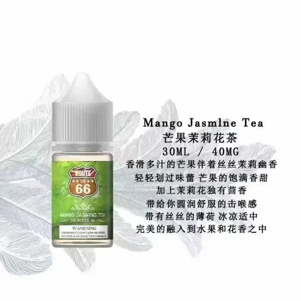 ROUTE 66 40mg丁鹽煙油 30ml｜美國原裝進口小煙專用｜台灣現貨免運