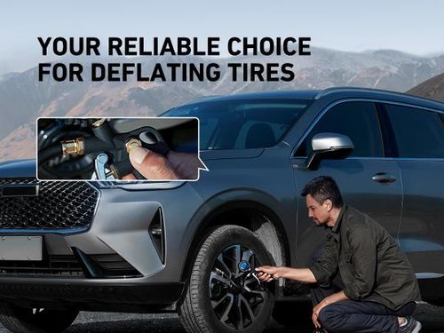 High-precision tire pressure gun