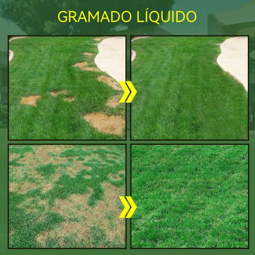 Adubo líquido para relvado, cresce rápido e fica verde