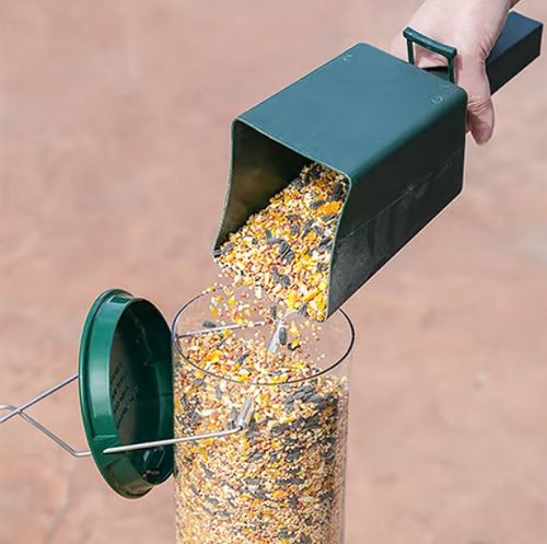 Bird Feeder