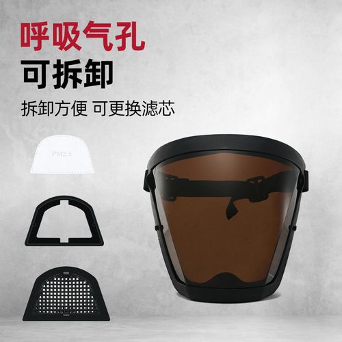 Anti-Fog Protective Full Face Shield