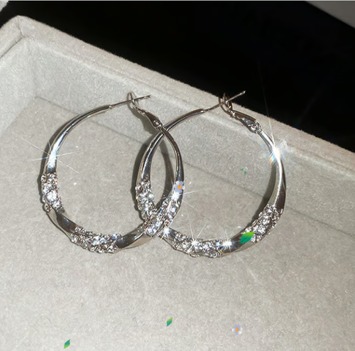 💖Circle Earrings with Zirconia