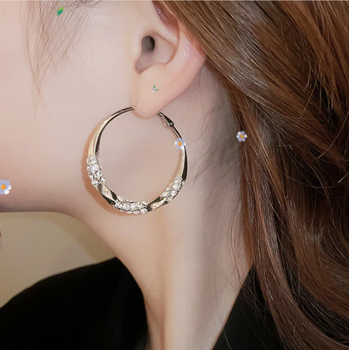 💖Circle Earrings with Zirconia