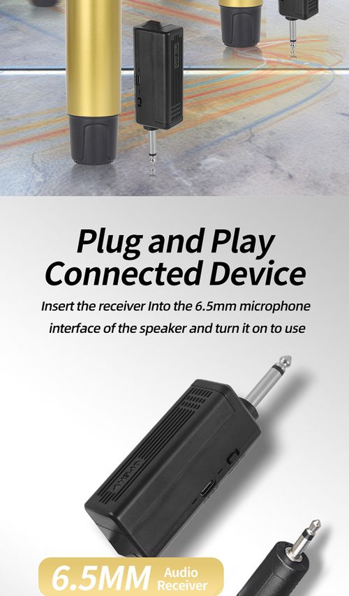 Dual Wireless Microphone Set Rechargeable UHF Mic for KTV Home Karaoke Meeting Kenya