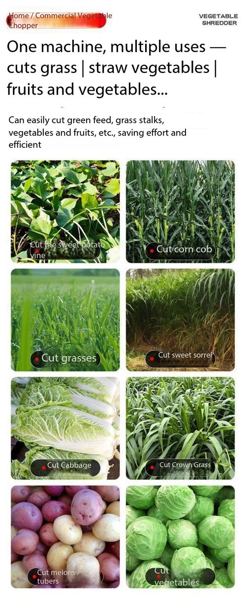 Heavy-Duty Electric Multi-Purpose Bucket Type Vegetable & Green Forage Shredder for Farm & Home Use