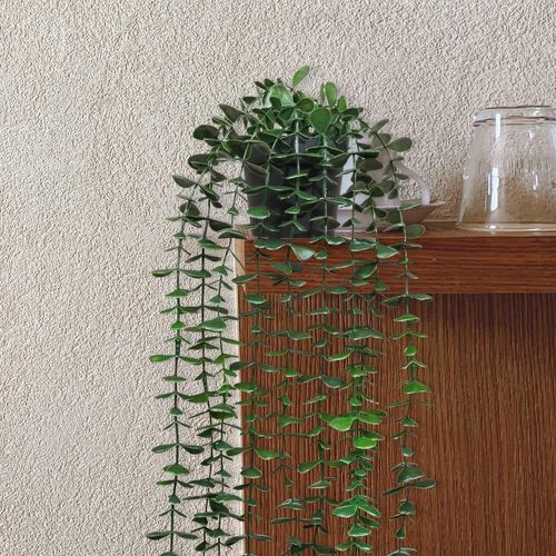 3 Pack Artificial Hanging Trailing Plants, Eucalyptus, Pea Pod & Mandala Vine
