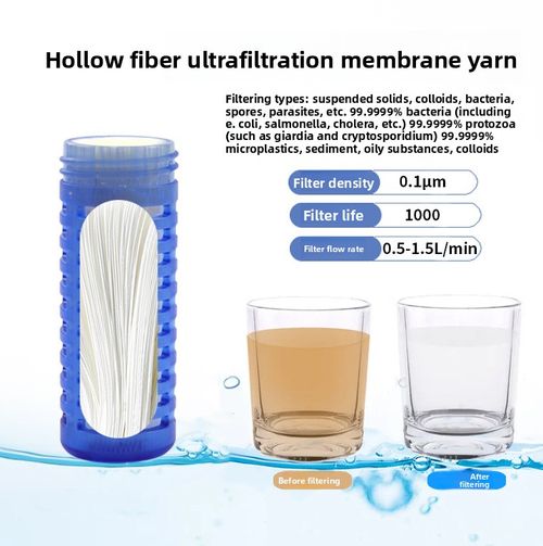 Portable Water Filter Bottle  Purifies Water, Removes Sediment & Odor, Safe Drinking Water for Home, Travel, Camping & Outdoor Activities