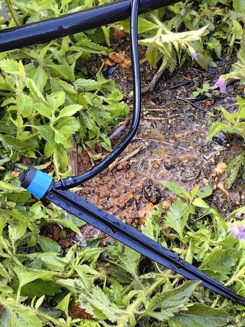 50‑Pack Adjustable Flow Stake Drip Sprinkler Emitters