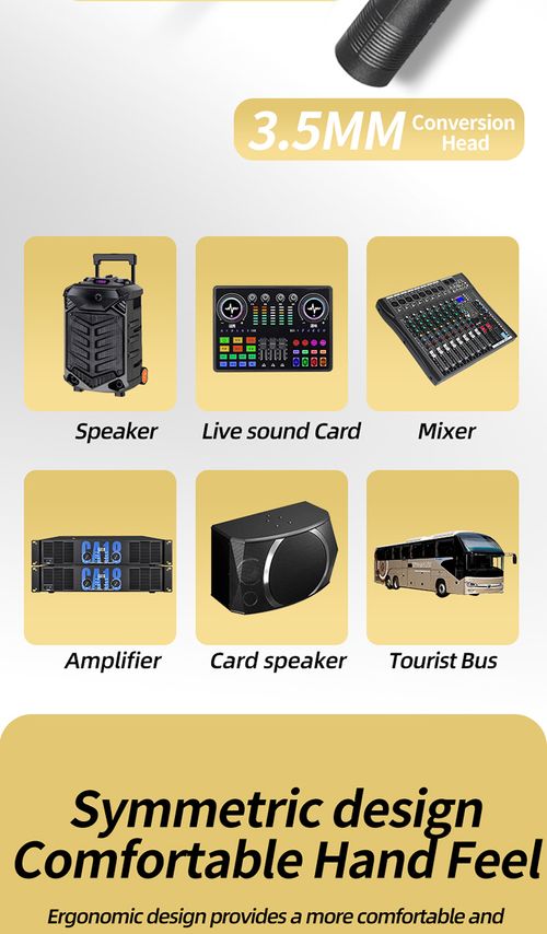 Dual Wireless Microphone Set Rechargeable UHF Mic for KTV Home Karaoke Meeting Kenya