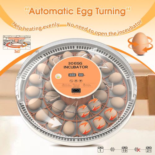 30 Eggs Automatic Digital Incubator, Constant Temperature Intelligent Egg Hatcher for Chicken Duck Goose, Household Small Poultry Hatching Machine
