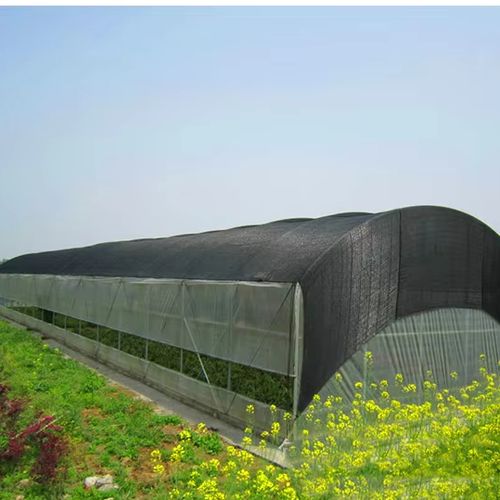 6 meters × 50 meters Shade netting for vegetable and fruit gardens: protects against birds, insects, sunburn, and hail. High-density black shade cloth—UV-resistant, durable, and suitable for home use, greenhouses, and agricultural applications.