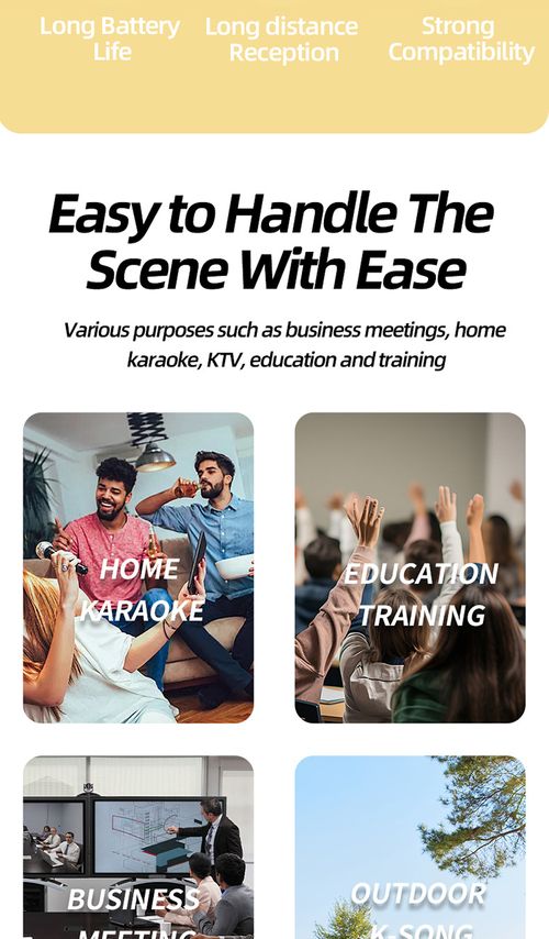 Dual Wireless Microphone Set Rechargeable UHF Mic for KTV Home Karaoke Meeting Kenya