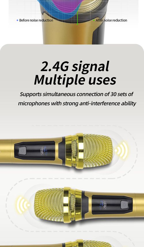 Dual Wireless Microphone Set Rechargeable UHF Mic for KTV Home Karaoke Meeting Kenya