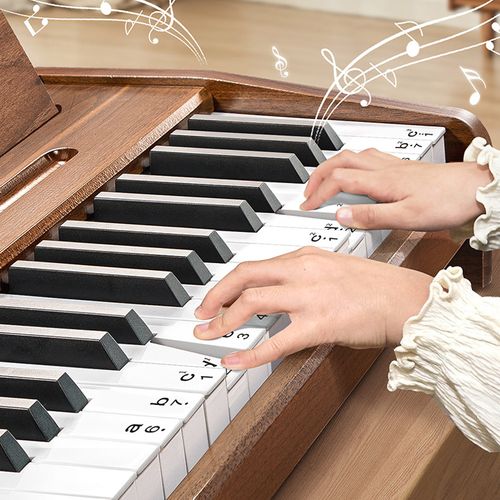 37-Key Digital Piano Keyboard—Foldable Electronic Keyboard with USB Type-C Port (Wooden Construction)