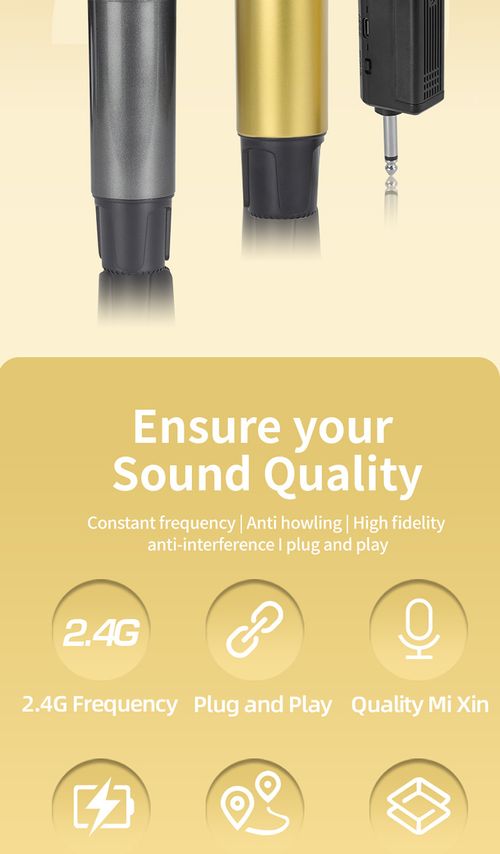 Dual Wireless Microphone Set Rechargeable UHF Mic for KTV Home Karaoke Meeting Kenya