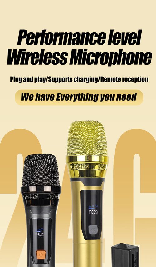 Dual Wireless Microphone Set Rechargeable UHF Mic for KTV Home Karaoke Meeting Kenya