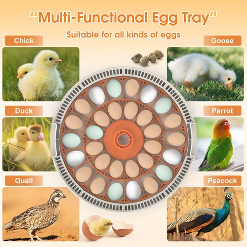 30 Eggs Automatic Digital Incubator, Constant Temperature Intelligent Egg Hatcher for Chicken Duck Goose, Household Small Poultry Hatching Machine