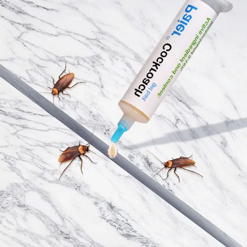 Paier 30g Cockroach Gel Bait Syringe Long-Lasting Pest Control for Home and Restaurant Kenya
