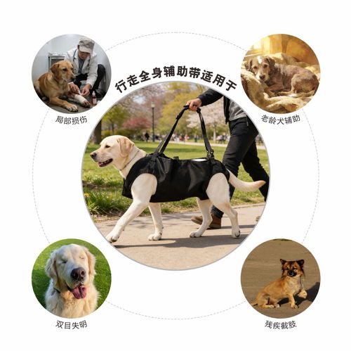 Multifunctional Pet Carrier Backpack Dog Walking Harness Support Sling for Injured Elderly Dogs Kenya