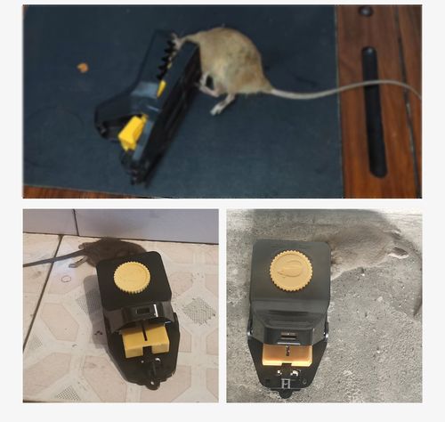 2 Pack Reusable Powerful Rat Traps