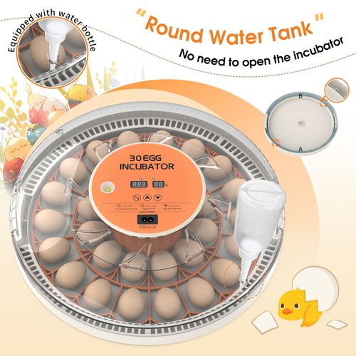 30 Eggs Automatic Digital Incubator, Constant Temperature Intelligent Egg Hatcher for Chicken Duck Goose, Household Small Poultry Hatching Machine
