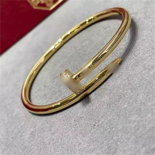 Fashion Stainless Steel Nail Bangle Bracelet Tarnish-Free Open Cuff for Women Kenya