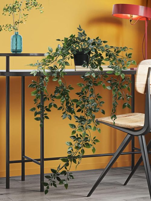 3 Pack Artificial Hanging Trailing Plants, Eucalyptus, Pea Pod & Mandala Vine