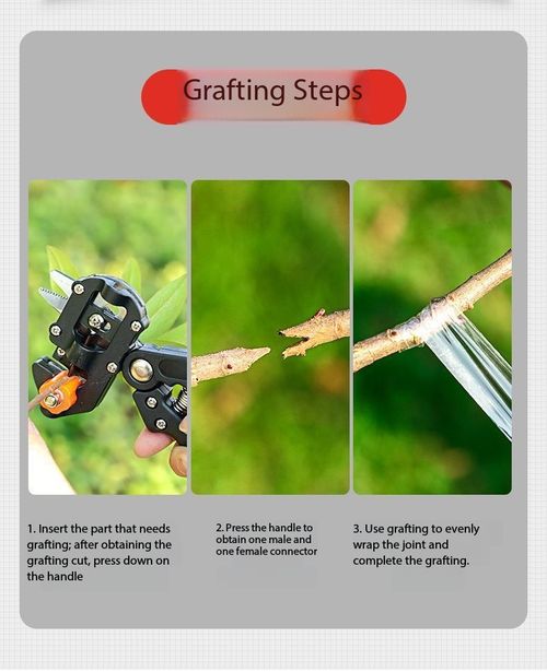 2-in-1 Multifunctional Grafting Pruning Shears