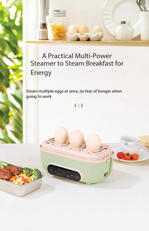Electric Heating Lunch Box 1.2L Portable Food Warmer with Timer Touch Control for Office Workers Kenya