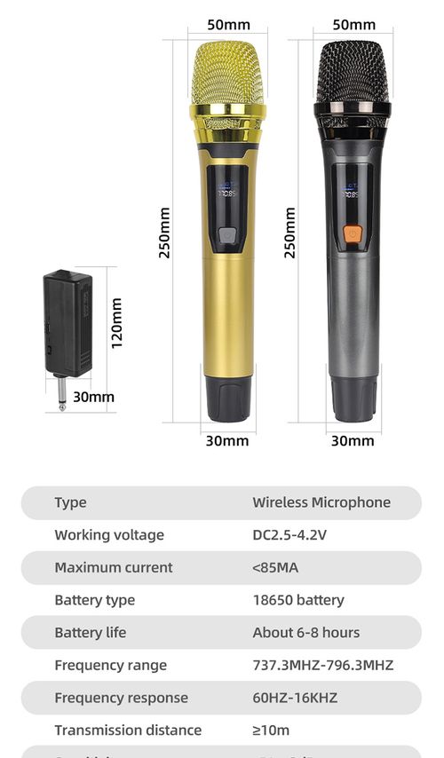 Dual Wireless Microphone Set Rechargeable UHF Mic for KTV Home Karaoke Meeting Kenya
