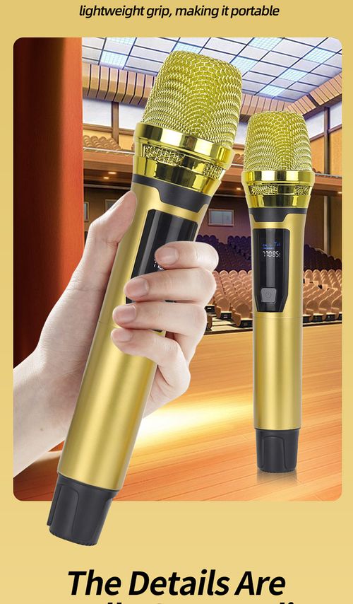 Dual Wireless Microphone Set Rechargeable UHF Mic for KTV Home Karaoke Meeting Kenya