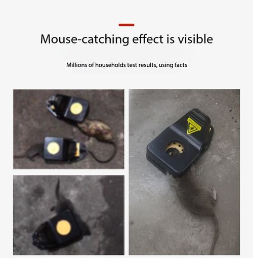 2 Pack Reusable Powerful Rat Traps