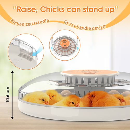30 Eggs Automatic Digital Incubator, Constant Temperature Intelligent Egg Hatcher for Chicken Duck Goose, Household Small Poultry Hatching Machine