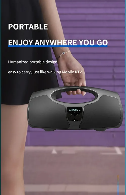 Alto-falante Karaoke Alto-falante Bluetooth de 20W ZEALOT P1.