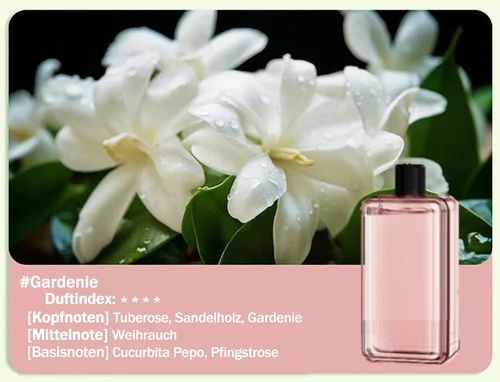 Máquina automática de incenso