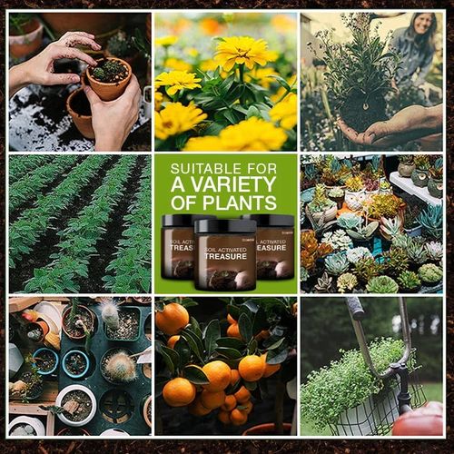 🔥Tesouro ativado pelo solo - Você vai se surpreender