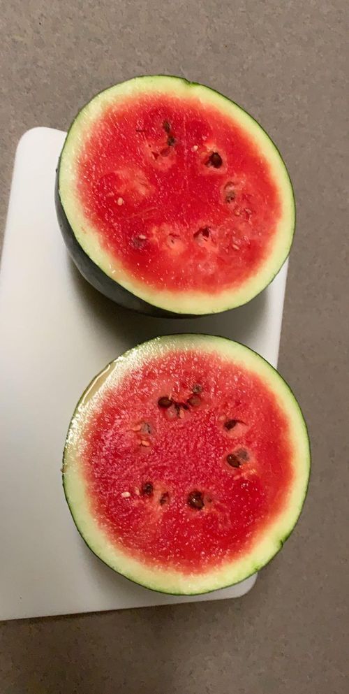 🌱Sementes de Melancia Rubi🌈(desconto por tempo limitado)