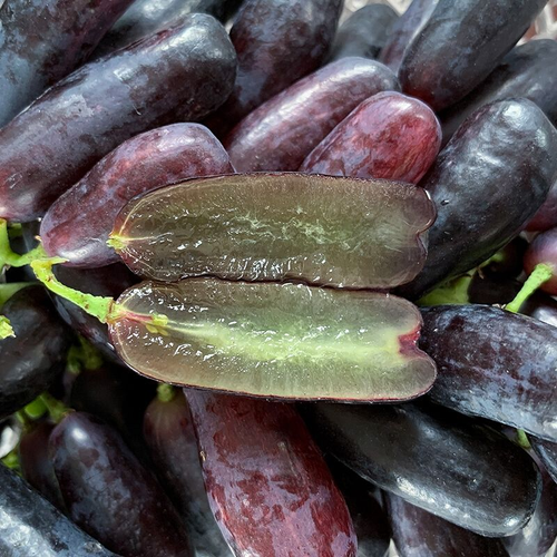 🍇Sementes de uvas de safira - nutrindo sua saúde com nutrientes ricos