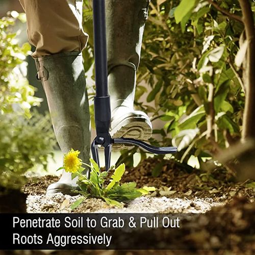 🔥Novo extrator de ervas daninhas destacável