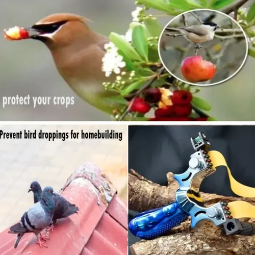 🔥2024 Brinquedo ao ar livre mais legal e popular