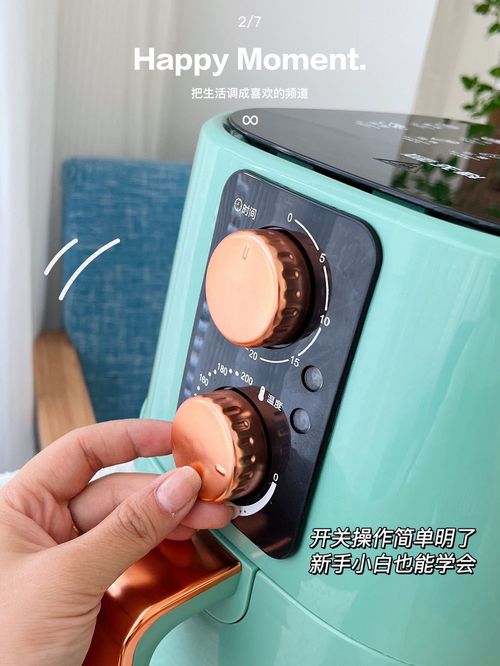 Fritadeira Elétrica 7,5L Multifuncional