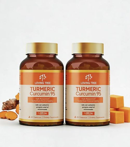 Loving Tree Turmeric Gummies  95% Curcuminoids with Black Pepper & Pumpkin Seed Oil for Ultimate Absorption, Joint Support Supplement