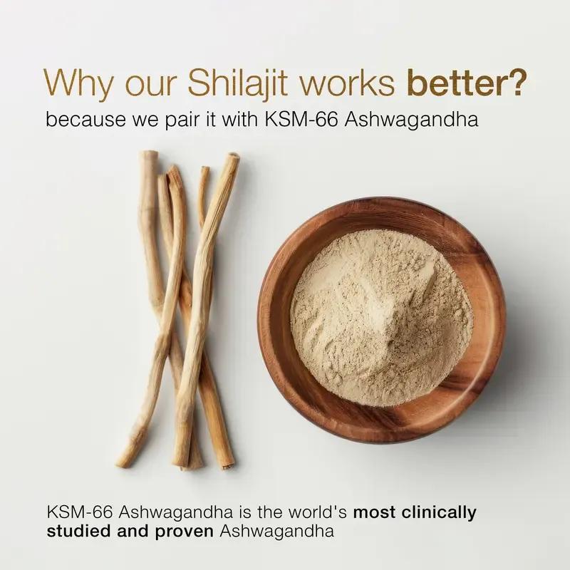 Be Bodywise by Root Labs Pure Himalayan Shilajit Gummies | New Year New Me Edition | 3000 mg with KSM-66 Ashwagandha, Gokshura, Saffron, Black Musli | Fulvic Acid & 85+ Trace Minerals | No Added Sugar | Natural Strength, Focus & Stamina Support