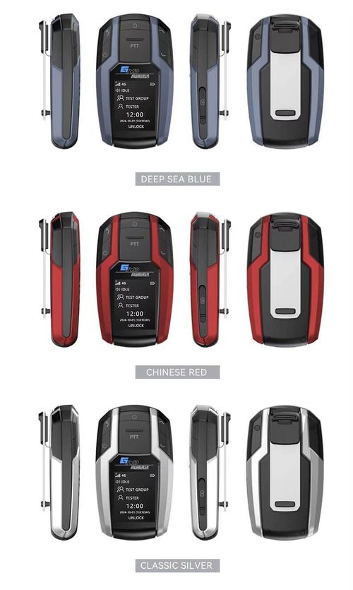 Remote walkie-talkie