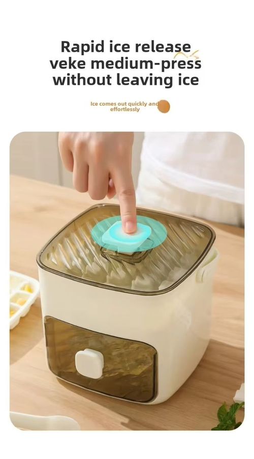 Ice maker