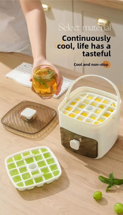 Ice maker